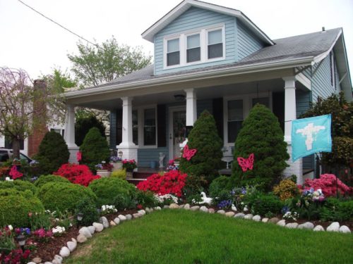 Flowers and Plants